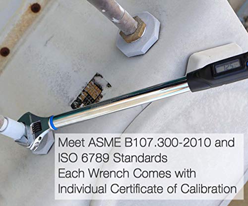 Adjustable Digital Torque Wrench, 7.4 to 147.5 ft-lb. Torque Range, 10-41 mm Adjustable Jaw, Set Target Torque, Buzzer and LED Indicator, Large LCD Display, Calibrated (WEA12-200CN)