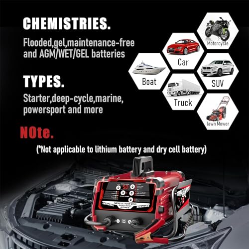 12V 24V Car Battery Charger & Engine Starter, Up to 50A Automatic Battery Maintainer 250A Cranking Amps - color: 50A