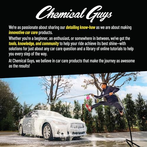 Chemical Guys, Bug & Tar Remover, Fast-Acting Pre-Wash for Paint, 16 oz | Loosens baked-on bugs, tar, sap and bird droppings before a wash, safe on paint, glass, chrome and plastic - size: 16 Fl Oz (Pack of 1)
