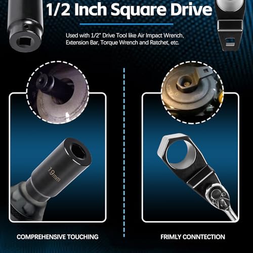 For Honda Crank Pulley Tool 19mm Harmonic Balancer Socket & 50mm Crankshaft Crank Pulley Wrench Holder Removal Holding Spanner Kit For Acura and Honda Engines, Deep Counter-Weighted Socket Tools