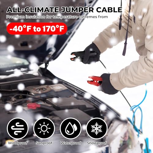2 Gauge 20 Feet Jumper Cables Heavy Duty for Car, 800 Amp Automotive Booster Battery Jumper Cables for SUV and Trucks with Carry Bag, Gloves, Brushes - size: 2 Gauge 20FT