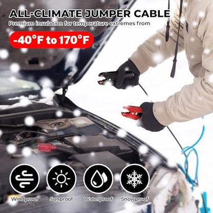 2 Gauge 20 Feet Jumper Cables Heavy Duty for Car, 800 Amp Automotive Booster Battery Jumper Cables for SUV and Trucks with Carry Bag, Gloves, Brushes - size: 2 Gauge 20FT