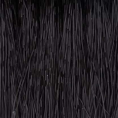 Shop-Vac 9061500 Round Brush, 1.25 Inch Diameter, Gentle Cleaning Delicate Surfaces, Ideal for Upholstery and Carpets (5-Pack) - size: 37987 (Pack of 5)