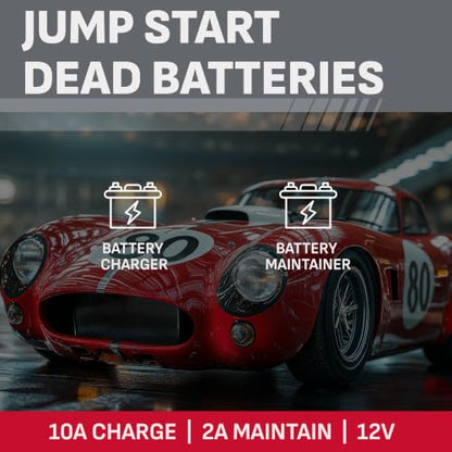 Schumacher Electric 6A Car Battery Charger & Maintainer, 6V/12V – SC1281 - size: 6/12V Automatic Charger 30/100A Starter, style: 5-in-1 with Engine Start