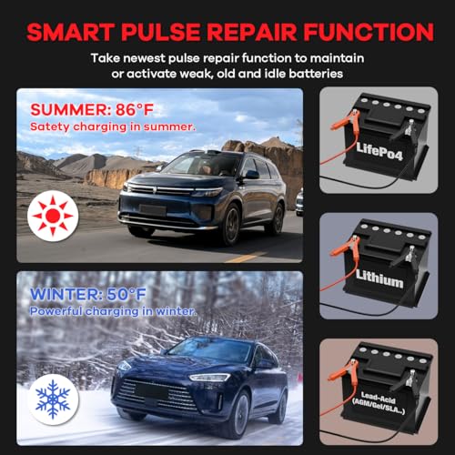 Hosyond Smart Battery Charger 10A 12V & 24V, Trickle Charger, Battery Maintainer and Desulfator, for Lithium,LiFePO4,Lead Acid (AGM/Gel/SLA..), for Car Motorcycle Lawn Mower