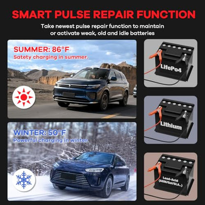 Hosyond Smart Battery Charger 10A 12V & 24V, Trickle Charger, Battery Maintainer and Desulfator, for Lithium,LiFePO4,Lead Acid (AGM/Gel/SLA..), for Car Motorcycle Lawn Mower