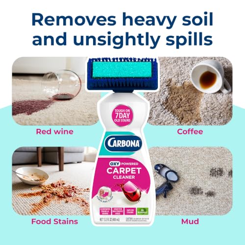 Carbona 2-in-1 Oxy-Powered Carpet Cleaner (13.5 Fl Oz), Spot Cleaner with Dual Sponge & Bristle Applicator for Targeted Cleaning, Fast Formula - size: 13.5 Fl Oz (Pack of 1)
