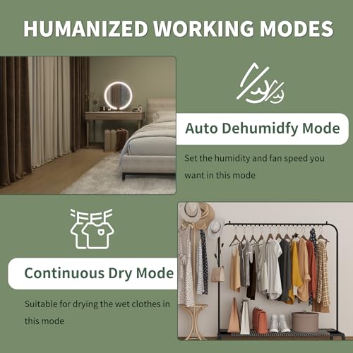 Shinco 86 Pints Dehumidifier for Home and Basements, 5000 Sq.Ft Dehumidifiers with Drain Hose, Auto or Manual Drainage, Auto Defrost, Quietly Remove Moisture, Intelligent Humidity Control, 24HR Timer - color: 5,000 Sq.Ft with Drain Pipe