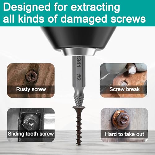 Damaged Screw Extractor Set & Stripped Screw Extractor Kit | 6Pcs HSS Easy Out Set for Stripped/Broken/Rusty Screws & Bolts, Compact Storage Case, Ideal DIY Gift for Men - size: 6 Piece