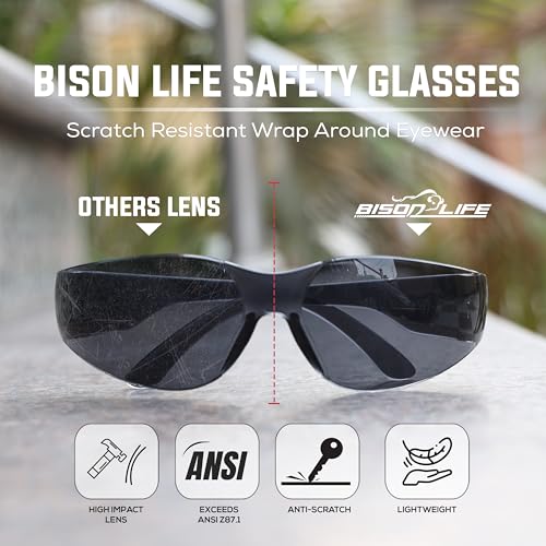 BISON LIFE Clear Safety Glasses – ANSI Z87.1 Certified Scratch & Impact Resistant Eye Protection Goggles for Men & Women - color: Black/Black