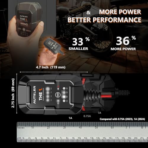 THE1A 6V/12V Smart Battery Charger,Trickle Charger,Desulfator & Automatic Maintainer for Multi-Chemicals Lead-Acid & Lithium Batteries,Temperature Compensation Down -20 °C,IP60