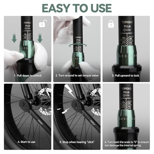 DISEN 9PCS Click Torque Wrench Set 1/4" 3/8" 1/2" Drive 20-220 In.lb, 5-45 Ft.lb, 10-170 Ft.lb with 6 Adapters, ±3% Accuracy, 72-Tooth, Dual Scale, Storage Case for Bike, Motorcycle, Car, Truck Repair - size: 9 PCS Set (Normal torque)