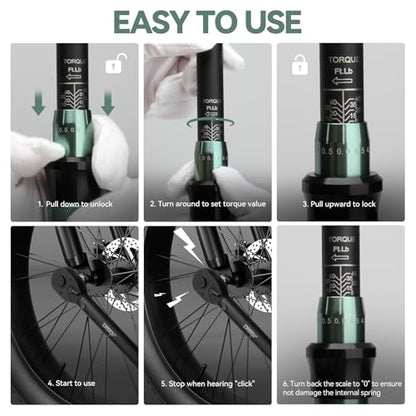 DISEN 9PCS Click Torque Wrench Set 1/4" 3/8" 1/2" Drive 20-220 In.lb, 5-45 Ft.lb, 10-170 Ft.lb with 6 Adapters, ±3% Accuracy, 72-Tooth, Dual Scale, Storage Case for Bike, Motorcycle, Car, Truck Repair - size: 9 PCS Set (Normal torque)