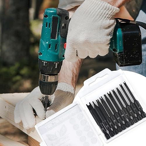 Spanner Bit Set (10 Pack - 2.3" Long Magnetic Heads) Spanner Fork Snake-Eye Security Screwdriver Bit Sizes: 4, 6, 8, 10, 12 (2 of Each Size) - style: Spanner