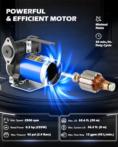 OMT 12GPM Gasoline Transfer Pump, 12V Priming Electric Fuel Pump Set | Auto Oil Transfer Pump with Overheat Protection & Inner Bypass Valve for Diesel, Kero, Light Fuels - color: 12GPM Gas Pump