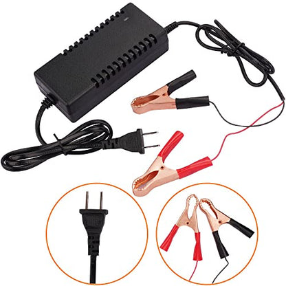 SaiDian 1Pcs 12V Battery Charger Maintainer Trickle RV 14.6V 3A for Car Truck Motorcycle 12 V Lithium Iron Phosphate LiFePO4 Battery Recharging