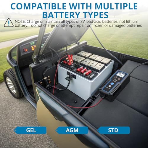 AUTOUTLET 8V Golf Cart Battery Charger 0–15A Smart Automatic, Trickle Charger & Battery Maintainer with LCD Display, PWM 4-Stage Charging for AGM Gel Lead Acid Batteries