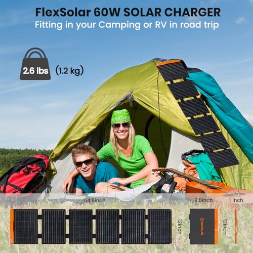 FlexSolar 2PCS 60W Portable Solar Panels Chargers with PD3.0 USB-C,QC3.0 USB-A and DC Outputs Foldable IP67 Waterproof Power Emergency Camping for Small Power Station Generator,Phones, Power Banks - color: S-60W*2