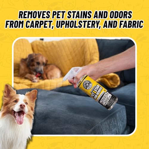 Chemical Guys Pet Mess Cleaning Kit, Furbidden Odor Eliminator 16 oz with Interior Detailing Brush Cleans, Pet Smells, Hair and Light Dirt for Cars Trucks SUVs Home Interiors and Upholstery Care - size: 16 Fl Oz + Brush