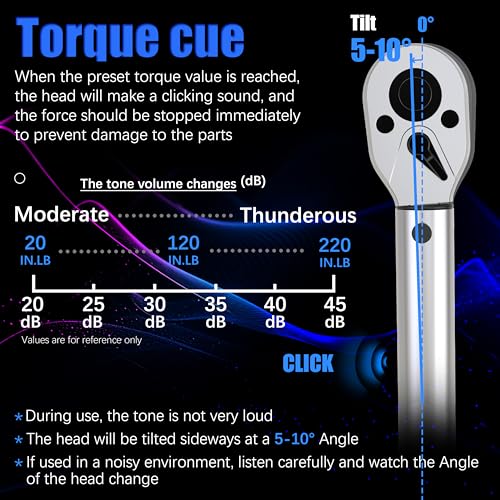 1/4-inch Drive Click Torque Wrench 20-220 in.lb / 2.3-24.9 Nm/Heavy Duty/Dual Direction/High hardness/Long lifetime/Stored In a Solid Case