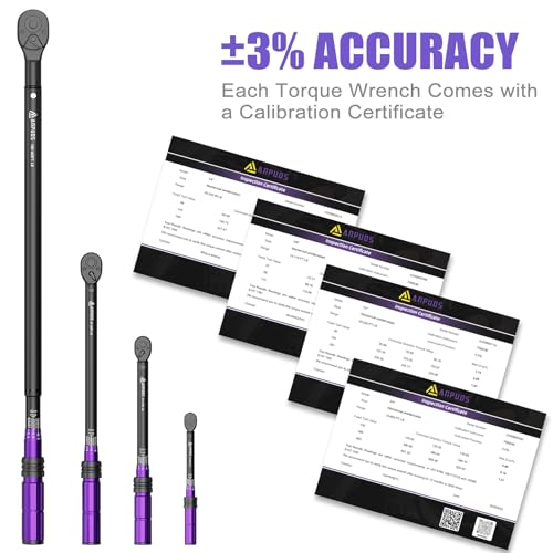 ANPUDS 4PCS Torque Wrench, 1/4 3/8 1/2 3/4-Inch Drive, ±3% Precision | 20-240in.lb,10-110 & 30-250 & 100-650 Ft.lb, Click Torque Wrench Set with Dual Range Scales for Bike, Motorcycle, Car, Truck - size: 20-240inlb+10-110Ft.lb+30-250Ft.lb+100-650Ft.lb