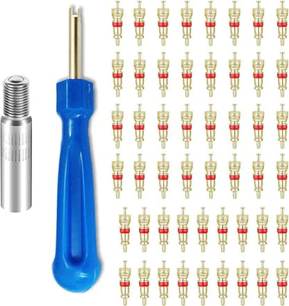 Valve Stem Removal Tool Kit with 50 Valve Cores, 1 Valve Stem Extension, Universal Fit Tire Valve Core Tool