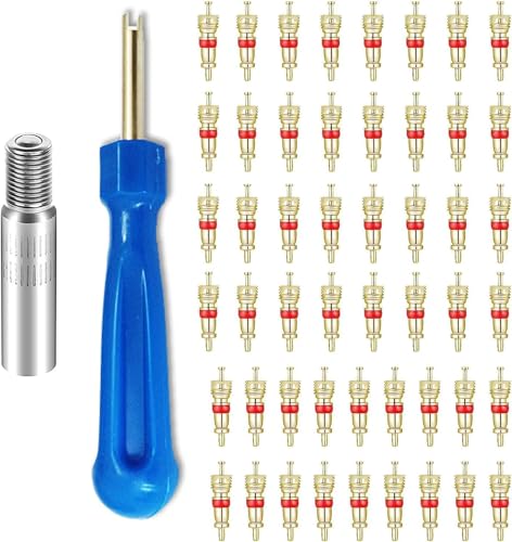 Valve Stem Removal Tool Kit with 50 Valve Cores, 1 Valve Stem Extension, Universal Fit Tire Valve Core Tool