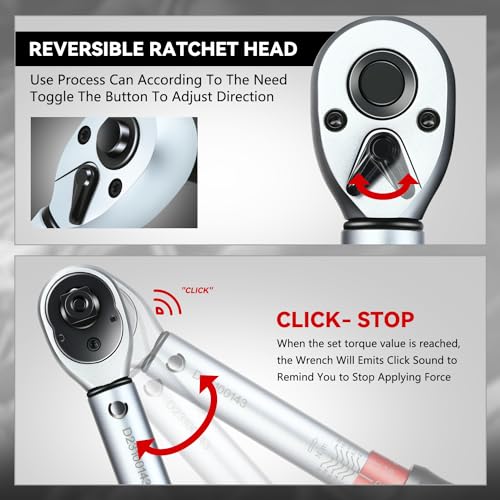 Auto Dynasty 3/8 Inch Dual-Scale Reversible Ratchet Wrench Set 20-200in.lb/2.26-22.6 n.m with Quick Release and Accurate Torque Control - Perfect for Cars, Bikes, and Machinery Maintenance - size: 3/8 Inch-200in.lb