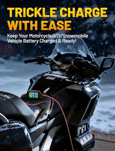 Oyviny 3Pack 6FT SAE Battery Connector Extension Cable with 15A Fuse, 16AWG UL Certified SAE to O Ring Terminal Quick Disconnect Harness for Battery Maintainer Trickle Charge Motorcycle Solar Panel - size: 16AWG 6FT-3PCS