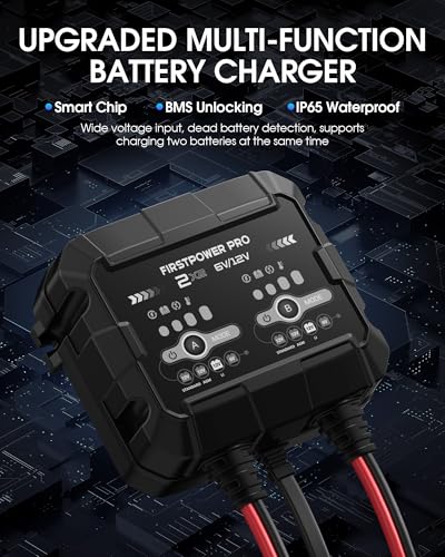 2-Bank, 4A (2A/Bank) Trickle Charger for Car Battery, 12V 6V Car Battery Charger, Automotive Battery Trickle Charger, Maintainer, for Motorcycle Lawn Mower AGM, Lithium Batteries