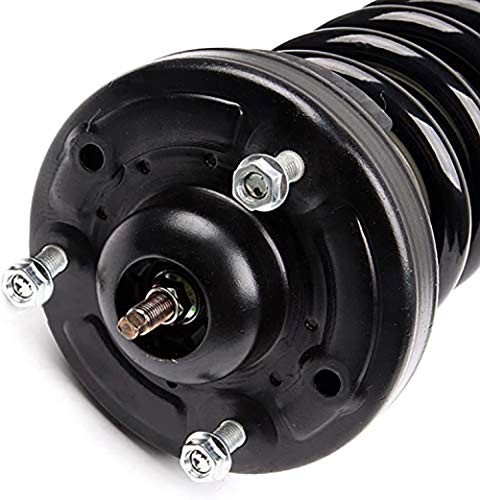 Detroit Axle - 2 Front Struts for 2004-2008 Ford F-150, 06-08 Lincoln Mark LT Complete Struts with Coil Spring 2005 2006 2007 Replacement Quick Install Ready Strut Shock Assembly - size: 171362 x2/PAIR