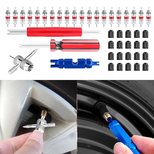 44Pcs Tire Valve Stem Repair Tool Kit, Tire Valve Core Remover Installer Tool Set with Valve Stem Caps, Universal Auto Tire Repair Tools for Cars Trucks