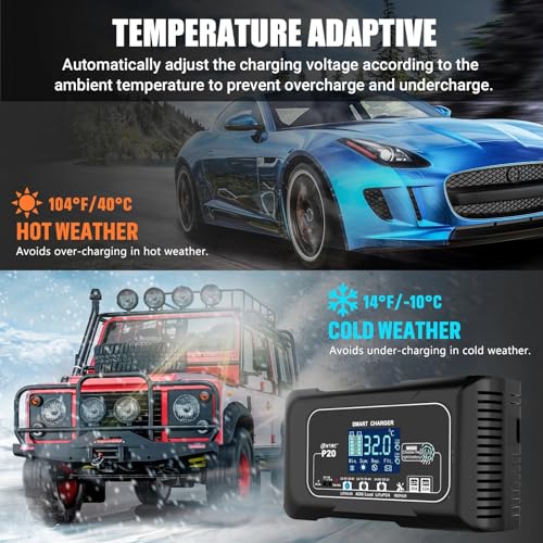 20 Amp Lithium Battery Charger 12V 24V LiFePO4 Battery Charger, Trickle Charger for Car Battery Motorcycle Lawn Mower Marine Boat, Battery Maintainer for Lead Acid (AGM/Gel/SLA...)