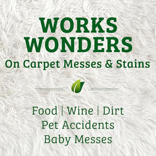 Biokleen Bac-Out Enzyme Cleaner and Stain & Odor Remover for Pet Stains, Laundry, Diapers, Wine, Carpets, & More, Eco-Friendly, Non-Toxic, Lime Scent, 128 Ounces - size: 128 Fl Oz (Pack of 1)