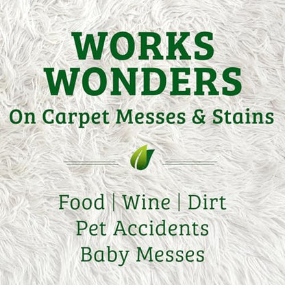 Biokleen Bac-Out Enzyme Cleaner and Stain & Odor Remover for Pet Stains, Laundry, Diapers, Wine, Carpets, & More, Eco-Friendly, Non-Toxic, Lime Scent, 128 Ounces - size: 128 Fl Oz (Pack of 1)