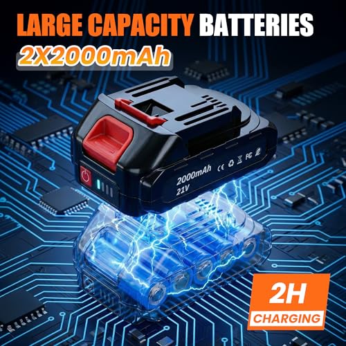 Cordless Buffer Polisher Kit with 2 Pack 2000mAh 21V Batteries, 6 Inch Car Waxer Polisher, 3 Variable Speed, 6PCS Extra Attachments, Car Polishing Machine for Detailing, Boat Sanding, Scratch Removing