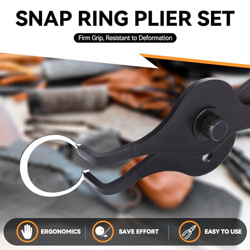 Auto Dynasty 10PCS Snap Ring Pliers Set, Heavy Duty Internal & External Retaining Ring Circlip Pliers with Bent Straight Pliers, Hook and Pick, Automotive Removal Tool All in One Storage Case - style: 11pc Multi Plier