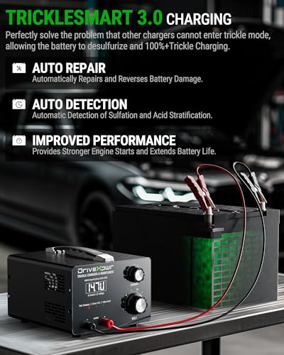 Adjustable Battery Charger 6V 8V 12V 24V,15A Automatic Battery Maintainer,Battery Desulfator Maintainer for Lead-Acid LiFePO4 Lithium,Great Automotive Golf Cart Truck Motorcycle Lawn Mower(X15)