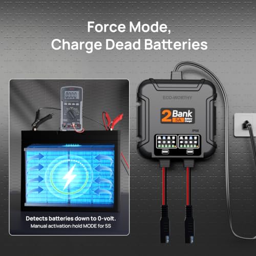ECO-Worthy 2 Bank Marine Battery Charger 10A (5A/Bank), IP68 Waterproof 12V Charger & Maintainer for Boat RV Car, Lead-Acid LiFePO4 & Calcium Battery Desulfator