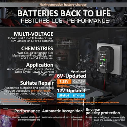 THE1A 6V/12V Smart Battery Charger,Trickle Charger,Desulfator & Automatic Maintainer for Multi-Chemicals Lead-Acid & Lithium Batteries,Temperature Compensation Down -20 °C,IP60
