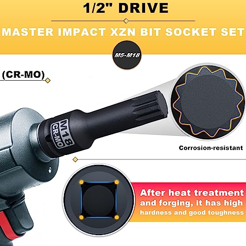 1/2" Drive Master Impact XZN Bit Socket Set, 10-Pieces: M5 - M18, Cr-Mo Steel, Heavy Duty Storage Case - size: 1/2" XZN