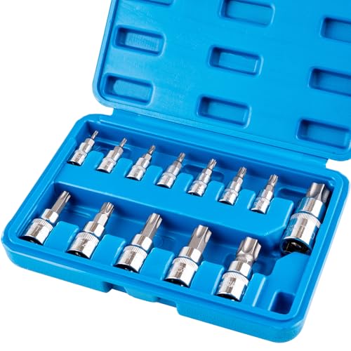 13-Piece Torx Bit Socket Set, T8-T70 Star Bit Sockets | S2 Steel And CR-V Construction with 1/4", 3/8", 1/2" Drive for Automotive And Equipment Repair