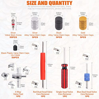 119Pcs Valve Core Remover Tools with Aluminum Tire Valve Stem Caps, Valve Core, Dual Single Head Valve Core Remover and 4-Way Valve Tool Kit for Automotive Truck Motorcycle Bicycle
