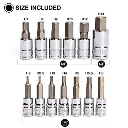 CASOMAN 13 Piece Hex Bit Socket Set, Metric, 2 mm-14 mm, S2 Steel Allen Bit Socket Kit