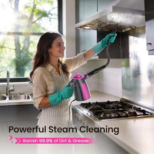 Steam Cleaner, Pressurized Handheld Multi-Surface Natural Steam Cleaner with 12pcs Accessory & Safety Lock, Portable Steamer for Cleaning Home, Kitchen, Bathroom, Car, Upholstery, Grout, Window - color: Grey