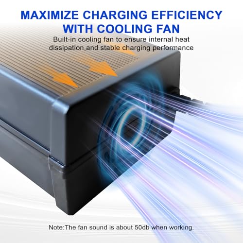 24V Lithium Battery Charger 29.2V 10A LiFePO4 Battery Charger for Lithium Iron Phosphate Battery, AC-DC Smart Charger, Battery Maintainer, Built-in Safety Protections, Support 0V Charging Function - color: 29.2V 10A