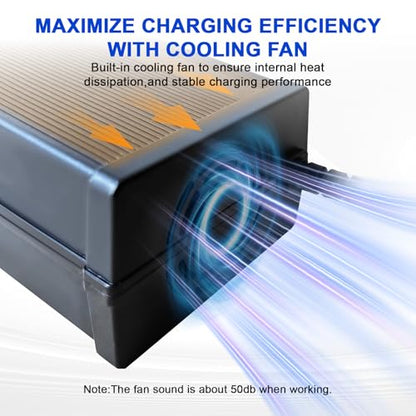 24V Lithium Battery Charger 29.2V 10A LiFePO4 Battery Charger for Lithium Iron Phosphate Battery, AC-DC Smart Charger, Battery Maintainer, Built-in Safety Protections, Support 0V Charging Function - color: 29.2V 10A