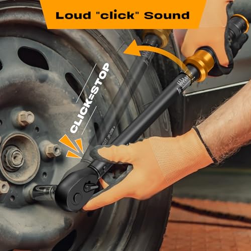 1/2-Inch Drive Click Torque Wrench Set – 15–165 ft-lb / 20–220 Nm, ±3% Precision, Dual Scale, Reversible Head for Car, Tire, and Motorcycle Use