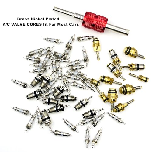58 Pieces Valve Air Conditioning Valve Core R12 R134A R410 Automotive A/C Valve Stem Cores Brass Valve Cores Refrigeration Tire Valve Stem Cores for Car Auto Vehicle and More