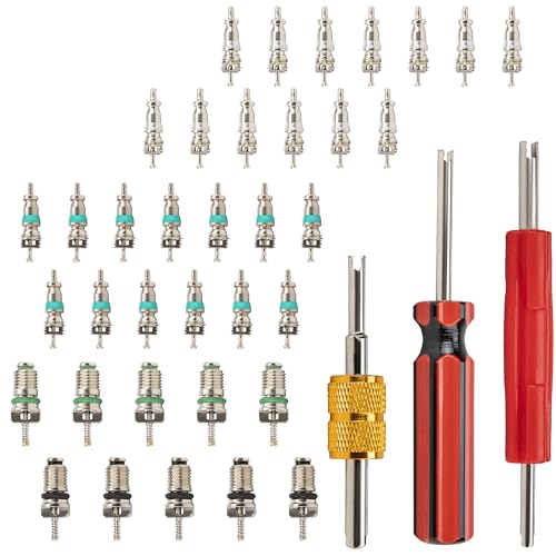 39 PCS Air Conditioning Valve Core Accessories Kit, R12 R134a Refrigeration Schrader Tire Valve Stem Cores with Single & Dual Heads Valve Core Remover Installer Tool, HVAC System Seal Caps Kit